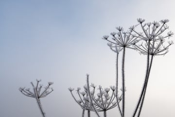 Winter-Ländle vor der Tür: Fallen schon kommende Woche die ersten Schneeflöckchen?