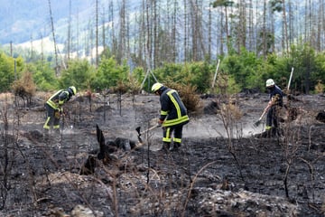 Waldbrand in Thüringen: Feuerwehr weiter im Einsatz, 150 Glutnester gelöscht