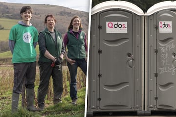 Revolution aus der Toilette: Festival-Urin soll jetzt neue Wälder wachsen lassen