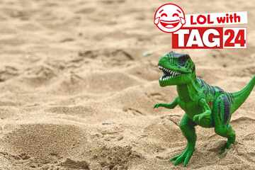 Joke of the Night for December 26, 2025: Get your funny on