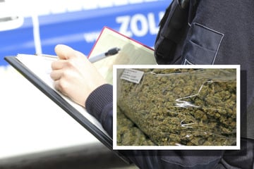 Mega-Drogenfund: Zoll stellt in Lastwagen 1,8 Millionen Euro an Marihuana sicher!