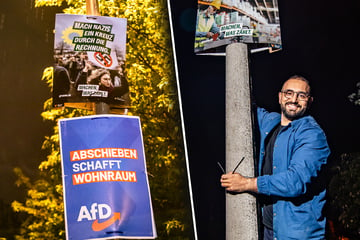 Dresdner Grüne ärgern AfD mit gekonnt witzigen Plakat-Platzierungen