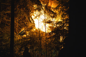 Leiche nach Brand in Holzhaus gefunden