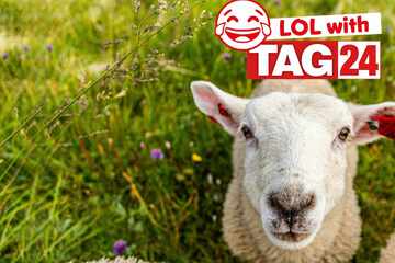 Joke of the Day for January 19, 2026: Start your week with a laugh