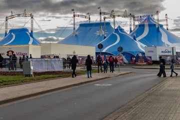 Dresden: Im Kampf gegen Abzocke: Dresdner Weihnachts-Circus stoppt Ticketbörse mit gerichtlichem Beschluss