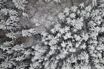Mädchen irren bei Minusgraden und Dunkelheit durch Wald: Dieser Trick rettet sie