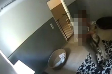 Schockierende Videos aus Tierpension: Hunde brutal misshandelt