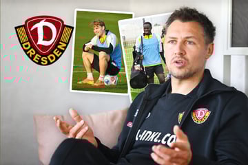 Zwei weg, einer kommt? Dynamos Transferkarussell dreht sich fleißig