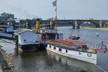 Dresden: Schifffahrts-Fans kommen auf ihre Kosten: "Kaiser Wilhelm" ankert in Dresden