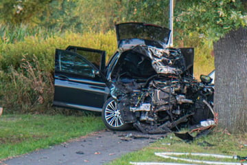 Vierköpfige Familie kracht frontal gegen Baum: Mutter stirbt noch am Unfallort