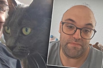 "Schwiegertochter gesucht"-Ingo steht vor der Obdachlosigkeit: "Annika hat mich vernichtet"