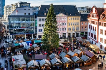 Chemnitz: Über 22 Meter! Das ist Sachsens höchster Weihnachtsbaum