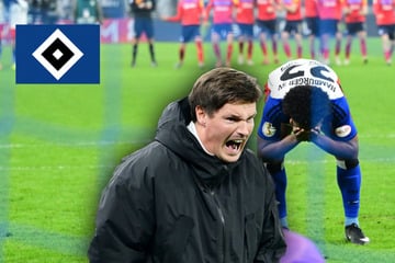 Nach Pokal-Aus wegen Elfer-Patzer: HSV-Trainer Polzin macht klare Ansage