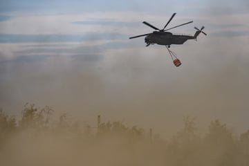 Waldbrand in der Gohrischheide: Mehr als die Hälfte des Waldes bereits abgebrannt