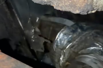 Anwohner hören merkwürdiges Kratzgeräusch im Haus: Als sie den Grund herausfinden, können sie nur schreien