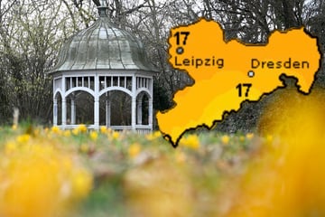 Nächstes Hoch zieht über Sachsen: Doch wie lange hält sich der Vor-Frühling?