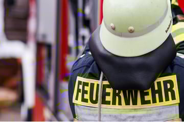 Zwei Höfe in einem Ort in Flammen: Millionenschaden und tote Tiere