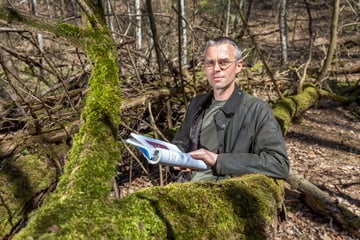 Chemnitz: Darum was fallen for a week in the Chemnitz Bäume massif