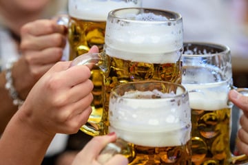 Durstige Diebe trinken Bier in Kleingartenanlage