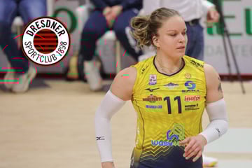 Nach Sensations-Rückkehr von Straube: DSC landet nächsten Transfer-Coup