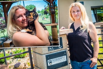 Leipzig: "Ich bin Katzensitterin aus Leidenschaft": Wie sich eine Leipzigerin ihren Traumjob schuf