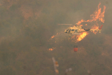 Schwere Waldbrände fordern mindestens 51 Todesopfer