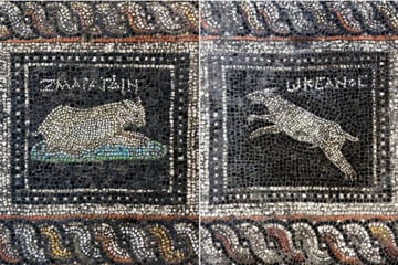 Tierliebe auf 2000 Jahre altem Mosaik: Römer setzte seinem Hund und seiner Katze ein Denkmal