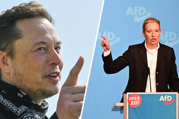 Nach Kalifat-Demo: AfD-Chefin Weidel lädt Elon Musk zum Krisengespräch ein!
