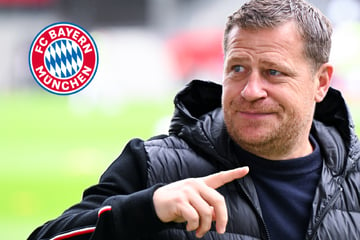 Bayern-Boss Eberl lobt Kompany - und schießt gleichzeitig gegen Tuchel!