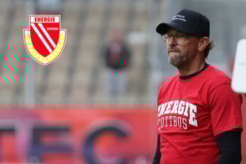 "Viele Spieler sind am Limit": Cottbus-Trainer Wollitz rechnet mit seiner Mannschaft ab