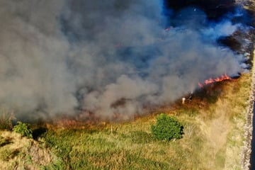 Riesen-Brand an Bahnstrecke: 20 Hektar brennen lichterloh