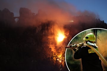 Alarmstufe Rot: Waldbrand-Risiko in Sachsen bereits im April extrem hoch