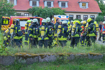 Schweine in Gefahr? Großbrand vernichtet Scheune: Halbe Million Euro Schaden