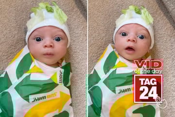 viral videos: Viral Video of the Day for November 1, 2025: Baby goes viral dressed as mini Subway sandwich for Halloween!