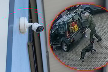 Kamera hält brutale Szenen fest: Mann prügelt mit Stock auf Hund ein