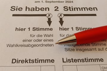 Landtagswahlen: Das bewirken Direktstimme und Listenstimme