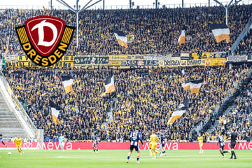 Dynamo-Fans sind erstklassig! In dieser Kategorie überholen sie die halbe Bundesliga