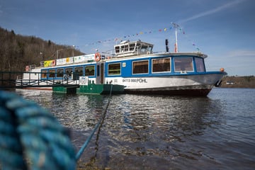Chaoten werfen Stein auf Schiff und beschädigen Seitenscheibe