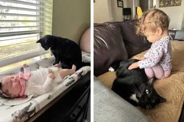 Cat's sweet bond with blind human sister amazes the internet