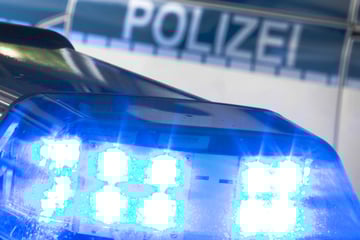 Drei in Gebüsch, einer unter Auto: Kioskeinbruch endet für Männer nicht nach Plan