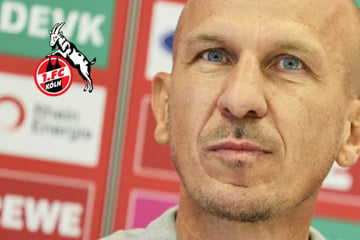 Köln-Coach Struber vor rheinischem Derby: "Wissen, wo wir wehtun können!"