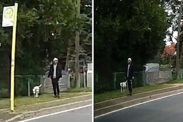 Aggressiver Gassi-Gänger will Häufchen nicht wegmachen und schlägt zu: Wer kennt diesen Mann?