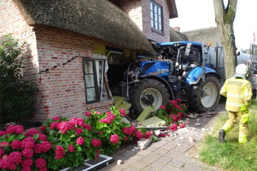 Traktor fährt in Reetdachhaus: Außenwand reißt ein