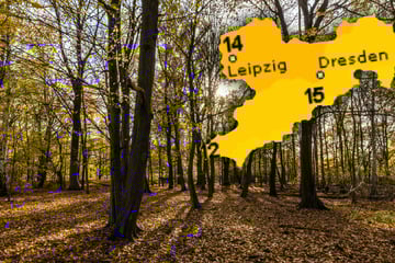 Goldener Herbst im Anmarsch! So mild wird die neue Woche in Sachsen