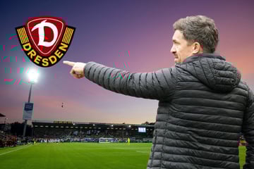 Es braucht den Sieg in Kiel! Die rote Laterne soll nicht am Dynamo-Weihnachtsbaum brennen