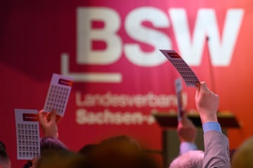 Austrittswelle beim BSW in Sachsen-Anhalt: Mehrere Vorsitzende gehen