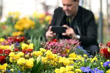 Blütenpracht im Südwesten: Landesgartenschau hat mehr als nur Pflanzen zu bieten