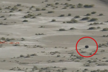 NASA announces historic landing of largest asteroid sample ever collected!