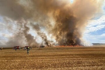 Feldbrand führt zu Großeinsatz der Feuerwehr