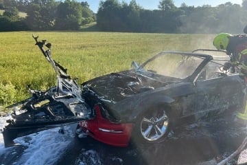 Ford Mustang fängt während der Fahrt an zu brennen: Feuerwehr kann Auto nicht mehr retten